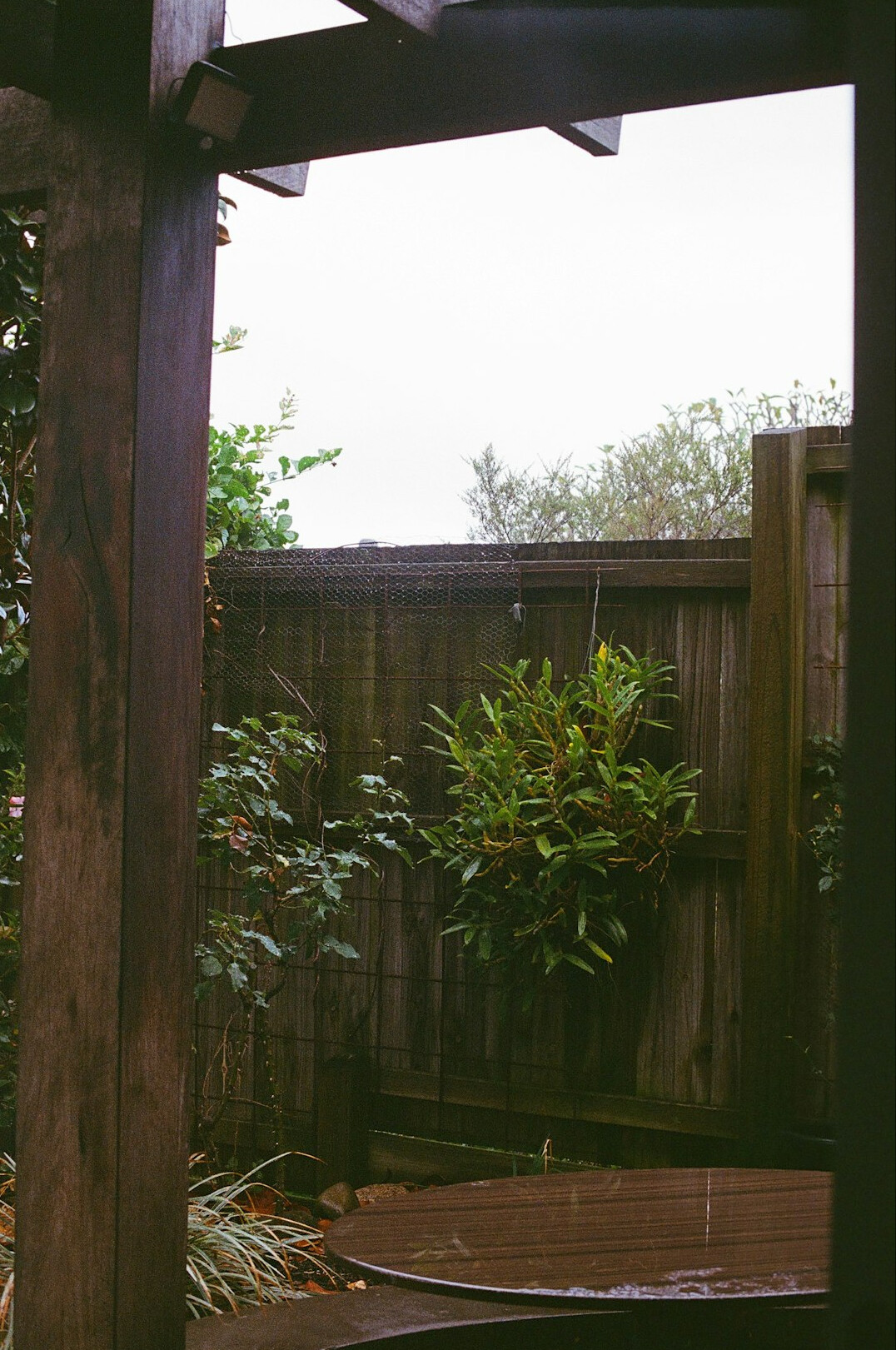 backyard neighbors chatting