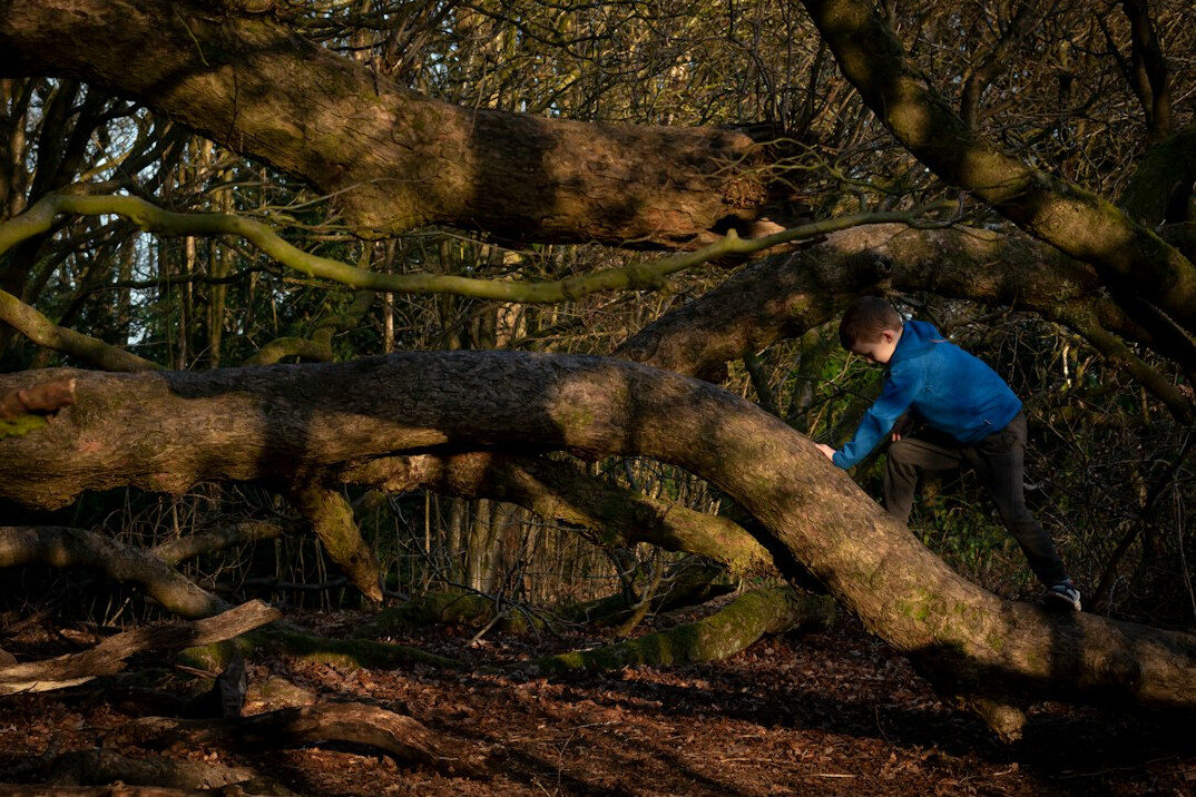 photographer documenting old tree legend