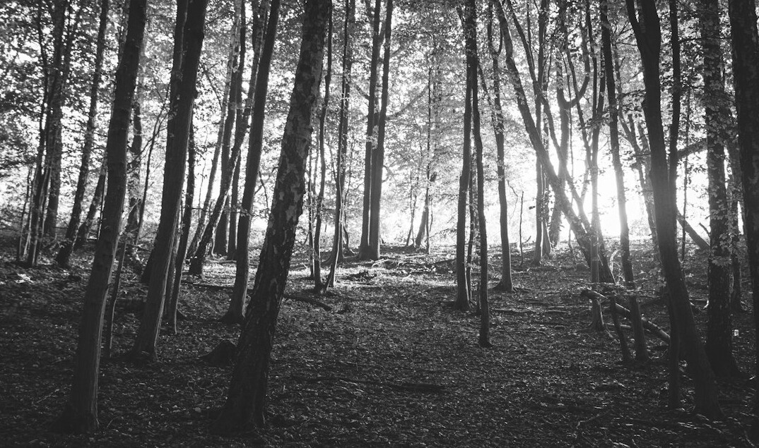 black and white photo of legend site
