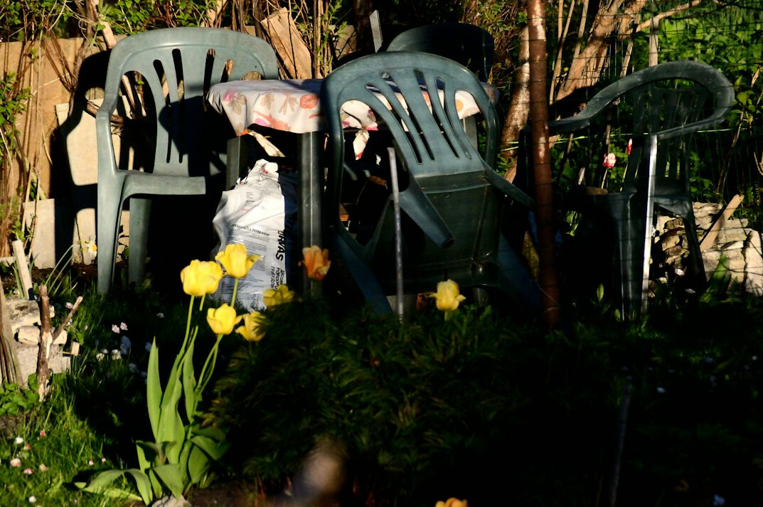 backyard neighbors chatting